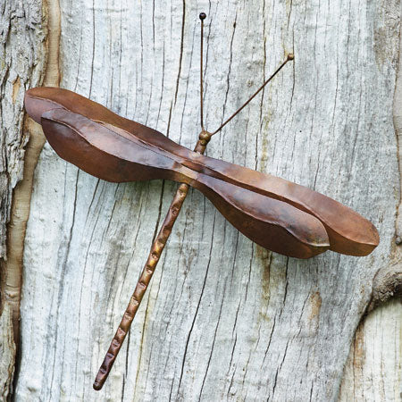 Hanging Dragonfly