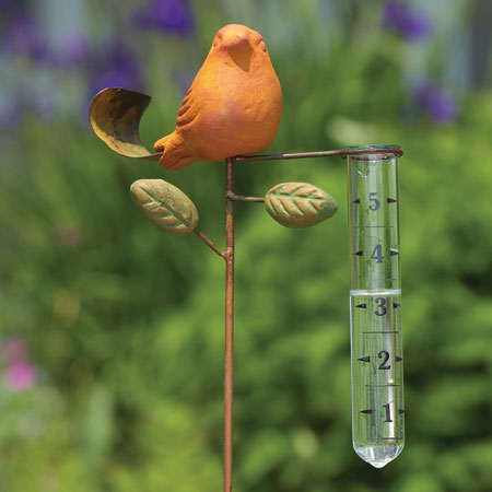 SPICE BIRD RAIN GAUGE